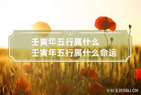 壬寅年五行|壬寅年（干支纪年）